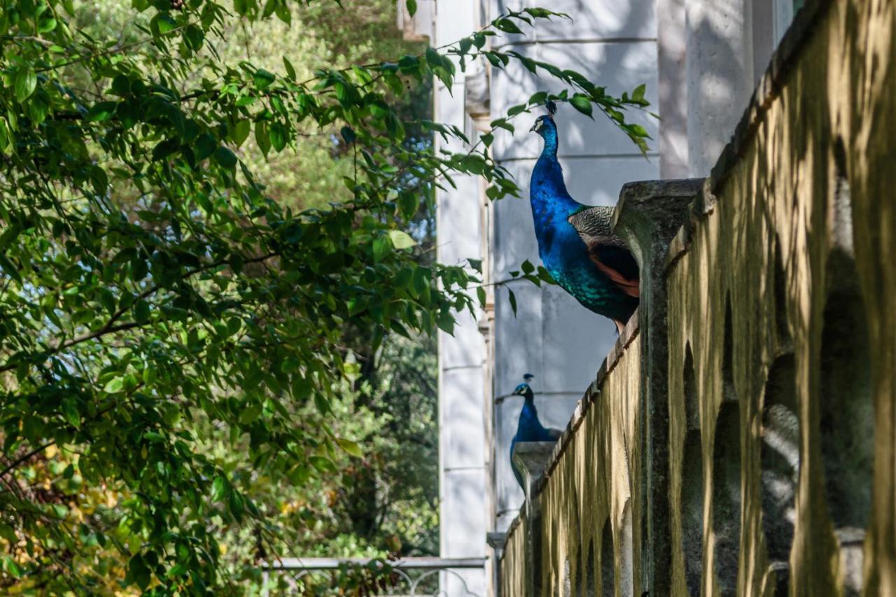 Casas Da Tapada Διαμέρισμα Lisboa Εξωτερικό φωτογραφία